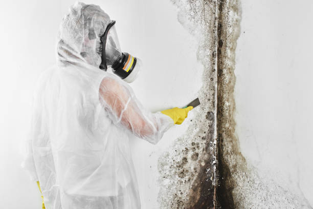 Forensic Mold Investigation in Anaheim, CA